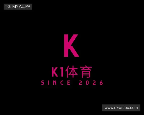了解k1体育